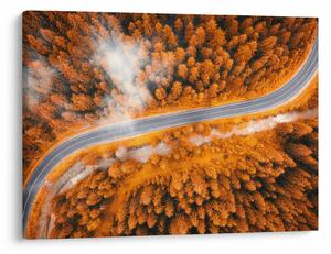 Slika - Planinski put (70x50 cm)