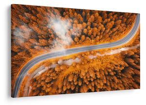 Slika - Planinski put (90x60 cm)