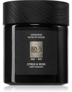 Vila Hermanos Apothecary Japanese Rest mirisna svijeća 150 g