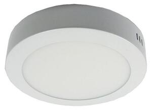 LED Stropna svjetiljka LED/12W/230V 3000K