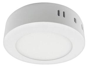 LED Stropna svjetiljka LED/6W/230V 3000K