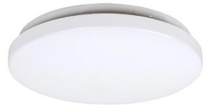 Rabalux 3338 - LED Stropna svjetiljka ROB 1xLED/20W/230V