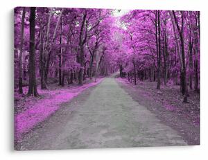 Slika - Put kroz park (70x50 cm)