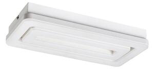 Rabalux 5648 - LED Stropna svjetiljka ALANA LED/40W/230V