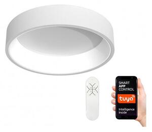 Immax NEO 07016L - LED Prigušiva stropna svjetiljka AGUJERO LED/30W/230V + DU