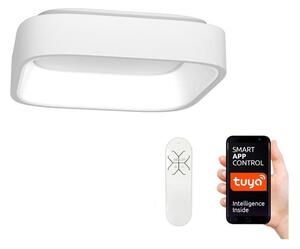 Immax NEO 07032L - LED Prigušiva stropna svjetiljka TOPAJA LED/47W/230V + DU