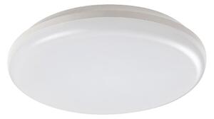 Rabalux 7979 - LED Vanjska stropna svjetiljka ERIC LED/24W/230V IP64