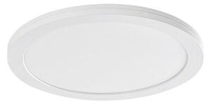Rabalux 1491 - LED Stropna svjetiljka sa senzorom LED/18W/230V