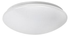 Rabalux 3938 - LED Stropna svjetiljka LUCAS LED/24W/230V