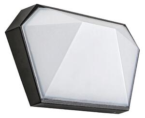 Rabalux 8114 - LED Vanjska zidna svjetiljka SALVADOR LED/10W/230V IP65