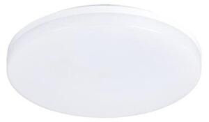 LED Vanjska stropna svjetlijka LED/15W/230V IP54