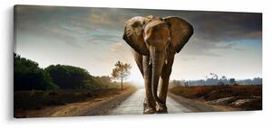 Slika slona (120x50 cm)