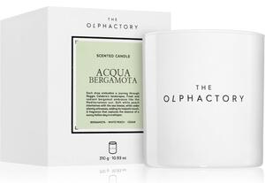 Ambientair The Olphactory White Insignia Acqua Bergamota mirisna svijeća 310 g