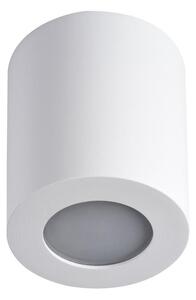 LED Stropna svjetiljka za kupaonicu SANI 1xGU10/10W/230V IP44 bijela