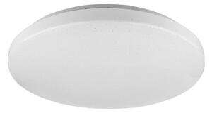 Rabalux 5435 - LED Stropna svjetiljka ROB LED/20W/230V