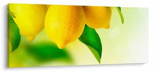 Slika limuna (120x50 cm)