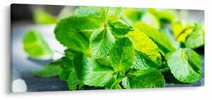 Slika metvice (120x50 cm)