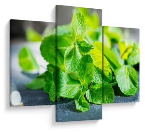 Slika metvice (90x60 cm)