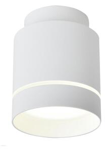 LED Stropna svjetiljka TUBA LED/12W/230V