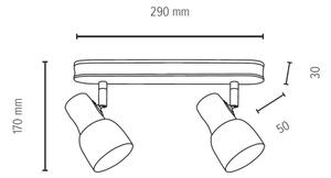 Spot-Light 2239276 - Reflektorska svjetiljka SVANTJE 2xE14/40W/230V