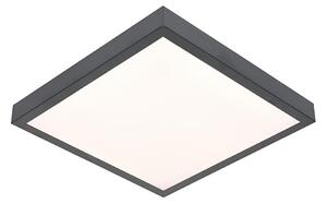 LED Stropna svjetiljka VITALI LED/24W/230V