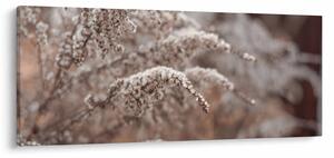 Slika biljaka (120x50 cm)