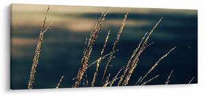 Slika trava (120x50 cm)