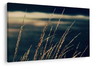 Slika trava (90x60 cm)