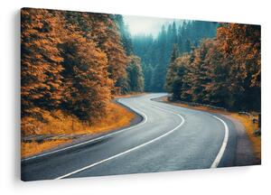 Slika - Vijugava cesta (90x60 cm)