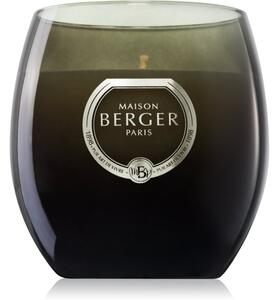 Maison Berger Paris Holly Amber Powder mirisna svijeća 200 g