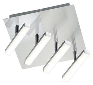 Trio - LED Reflektorska svjetiljka OPIUM 4xLED/4,5W/230V