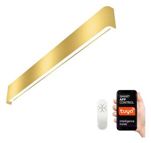 Immax NEO 07137-G - LED SMART Prigušiva svjetiljka LINEA LED/40W/230V + DU 76 cm