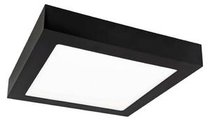 LED Stropna svjetiljka FENIX LED/12W/230V 3800K 17 cm