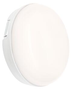 LED Radna svjetiljka LED/8W/230V IP54