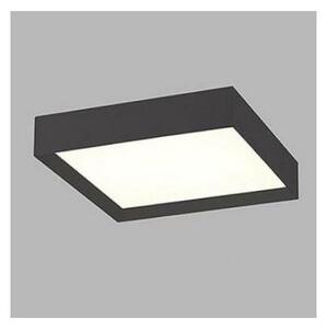 LED2 - LED Stropna svjetiljka MILO LED/30W/230V crna 3000/4000K