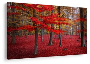 Slika - Rdeči gozd (90x60 cm)