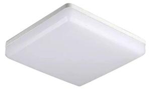 LED Stropna svjetiljka LED/25W/230V 30cm IP44