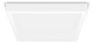 Philips - LED Stropna svjetiljka MAGNEOS LED/20W/230V 2700K bijela