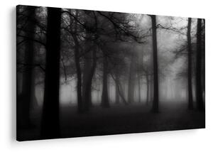 Slika - Gozd v megli (90x60 cm)