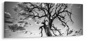 Slika - Črno-belo drevo (120x50 cm)