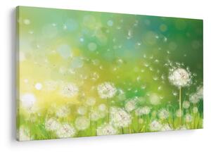 Slika - Odcveteli regrat (90x60 cm)