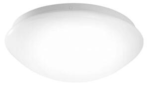 Leuchten Direkt 14243-16 - LED Stropna svjetiljka ANDREA LED/8W/230V