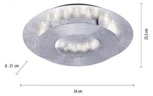 Paul Neuhaus 9011-21 - LED Stropna svjetiljka NEVIS LED/6W/230V srebrna