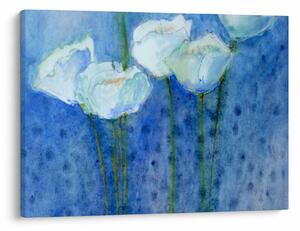 Slika - Beli tulipani (70x50 cm)