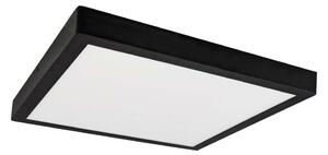 LED Stropna svjetiljka FENIX LED/24W/230V 3800K 29,8 cm