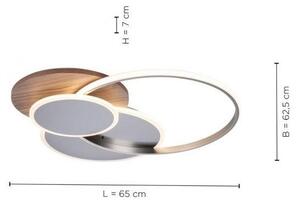 Paul Neuhaus 8328-79 - LED Prigušiva stropna svjetiljka PALMA LED/50W/230V + DU