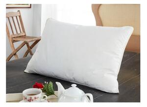 Antialergijska vodootporna zaštita za jastuk 2 kom 70x50 cm Classic - Mila Home