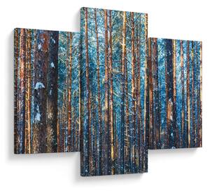 Slika - Zimski gozd (90x60 cm)