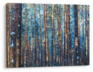 Slika - Zimski gozd (70x50 cm)