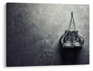 Slika boksarskih rokavic (70x50 cm)